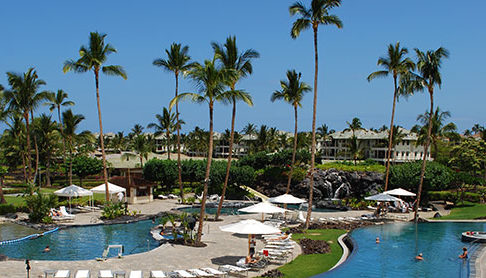 Company Trip to Hawaii